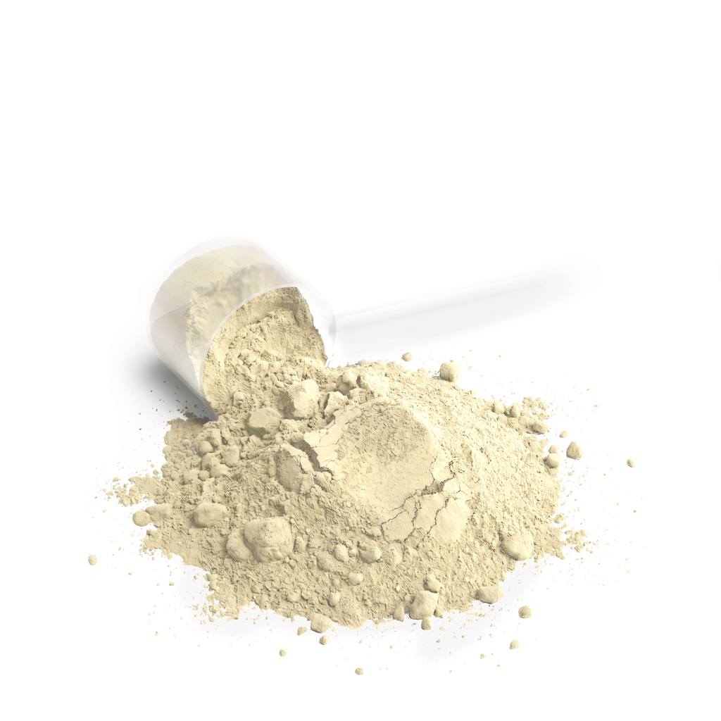 Field Ration — Whey Protein Blend (Vanilla)
