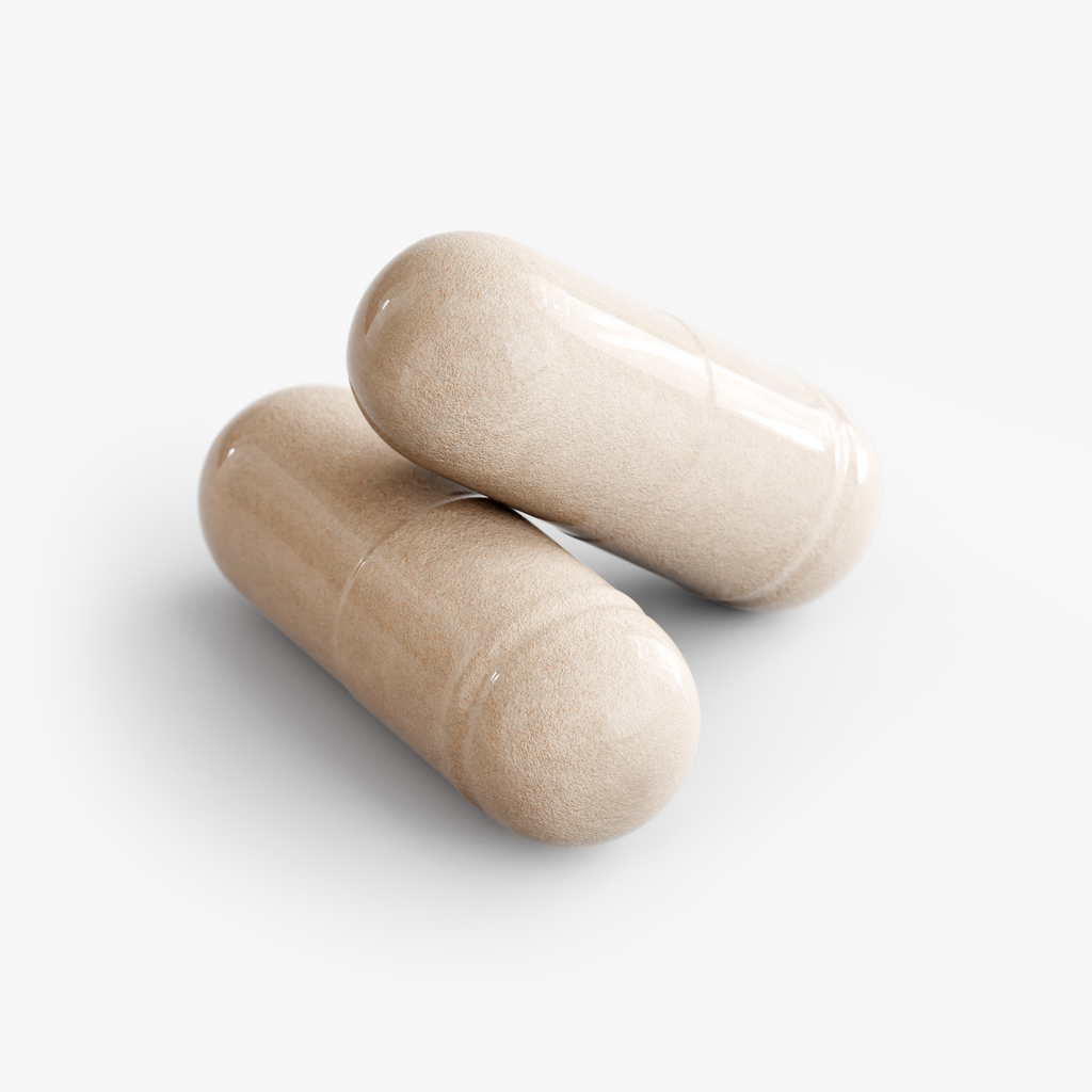 Daily Brief — Multivitamin